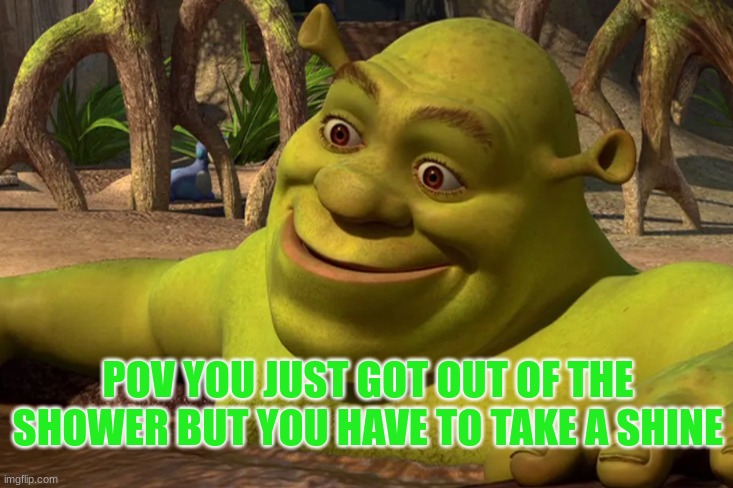 shrek | POV YOU JUST GOT OUT OF THE SHOWER BUT YOU HAVE TO TAKE A SHINE | image tagged in shrek is love,shrek | made w/ Imgflip meme maker