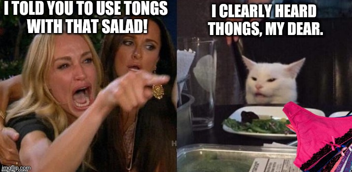 Lady  yells at  thong cat | I TOLD YOU TO USE TONGS 
WITH THAT SALAD! I CLEARLY HEARD 
THONGS, MY DEAR. | image tagged in memes,pampered chef,tong,angry lady cat | made w/ Imgflip meme maker