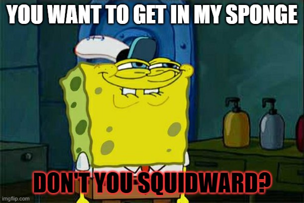 Don't you Squidward | YOU WANT TO GET IN MY SPONGE; DON'T YOU SQUIDWARD? | image tagged in memes,don't you squidward | made w/ Imgflip meme maker
