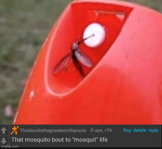 If this becomes a repost i will mosquit Imgflip. | image tagged in wtf,the moment you realize | made w/ Imgflip meme maker