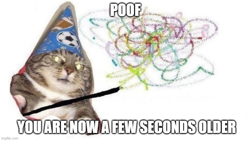 Wizard Cat | POOF; YOU ARE NOW A FEW SECONDS OLDER | image tagged in wizard cat | made w/ Imgflip meme maker