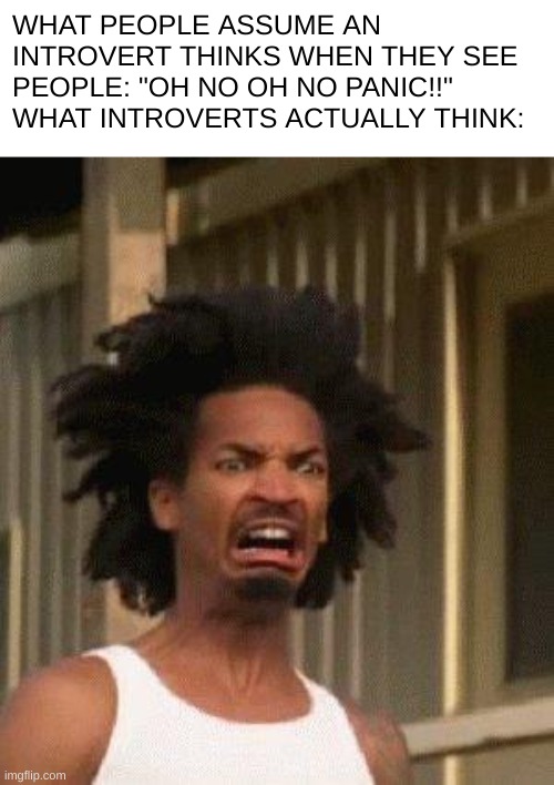 this is why I hate school. not the work, not the teachers, but my classmates. I. HATE. THEM. SO MUCH. (I'm also an ambivert) | WHAT PEOPLE ASSUME AN INTROVERT THINKS WHEN THEY SEE PEOPLE: "OH NO OH NO PANIC!!"
WHAT INTROVERTS ACTUALLY THINK: | image tagged in disgusted face,relatable memes | made w/ Imgflip meme maker