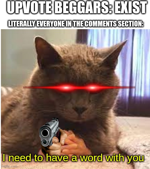 I need to have a word with you | UPVOTE BEGGARS: EXIST; LITERALLY EVERYONE IN THE COMMENTS SECTION:; I need to have a word with you | image tagged in blank white template,cats with guns,upvote beggars | made w/ Imgflip meme maker
