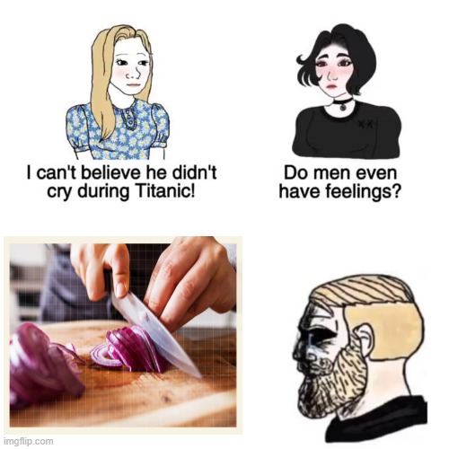 onion | image tagged in i cant believe he didnt cry | made w/ Imgflip meme maker
