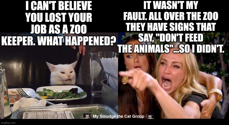 I CAN'T BELIEVE YOU LOST YOUR JOB AS A ZOO KEEPER. WHAT HAPPENED? IT WASN'T MY FAULT. ALL OVER THE ZOO THEY HAVE SIGNS THAT SAY, "DON'T FEED THE ANIMALS"...SO I DIDN'T. | image tagged in smudge the cat,woman yelling at cat | made w/ Imgflip meme maker