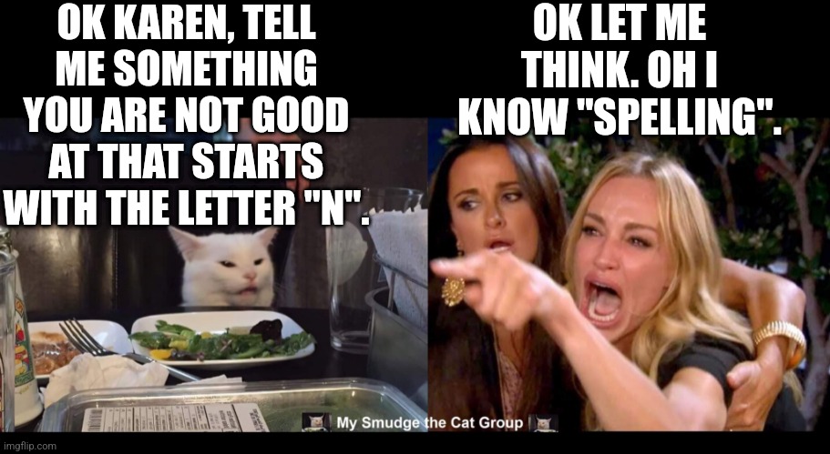  OK KAREN, TELL ME SOMETHING YOU ARE NOT GOOD AT THAT STARTS WITH THE LETTER "N". OK LET ME THINK. OH I KNOW "SPELLING". | image tagged in smudge the cat,woman yelling at cat | made w/ Imgflip meme maker