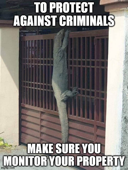 And take a bite out of crime |  TO PROTECT AGAINST CRIMINALS; MAKE SURE YOU MONITOR YOUR PROPERTY | image tagged in lizard | made w/ Imgflip meme maker