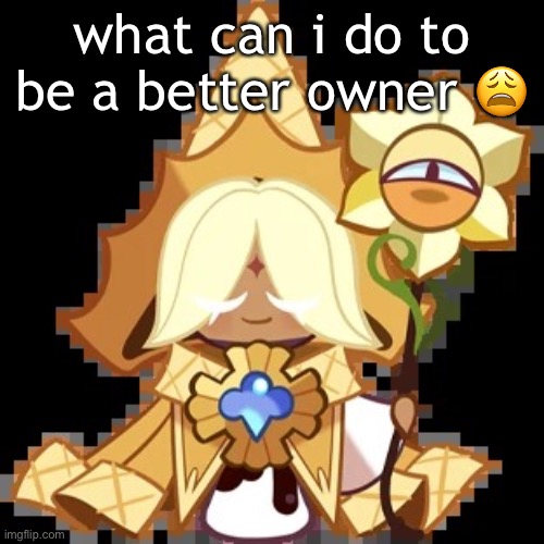 purevanilla | what can i do to be a better owner 😩 | image tagged in purevanilla | made w/ Imgflip meme maker