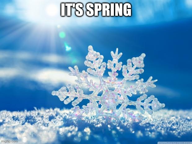 snowflake | IT'S SPRING | image tagged in snowflake | made w/ Imgflip meme maker