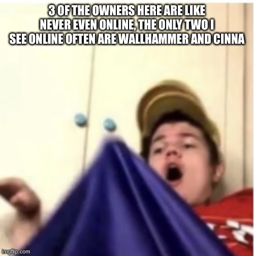And wallhammer actually does shit | 3 OF THE OWNERS HERE ARE LIKE NEVER EVEN ONLINE, THE ONLY TWO I SEE ONLINE OFTEN ARE WALLHAMMER AND CINNA | image tagged in alfaoxtrot mega boner | made w/ Imgflip meme maker