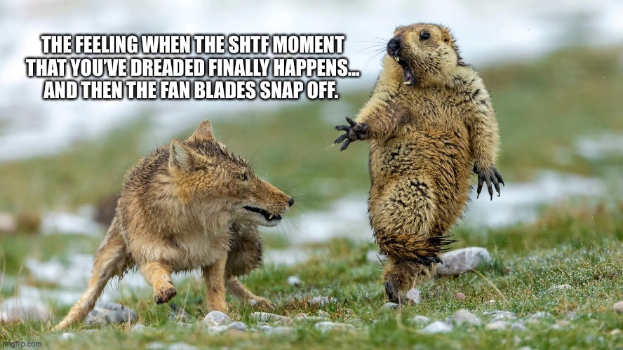 Tibetan Marmot SHTF moment | THE FEELING WHEN THE SHTF MOMENT
THAT YOU’VE DREADED FINALLY HAPPENS…
AND THEN THE FAN BLADES SNAP OFF. | image tagged in worst mistake of my life | made w/ Imgflip meme maker