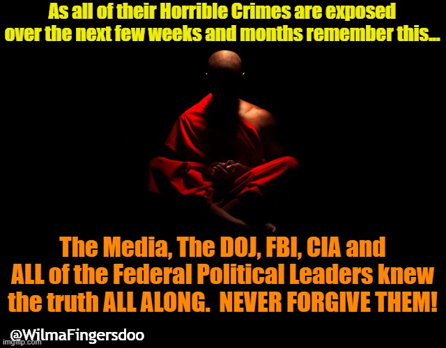 zen | As all of their Horrible Crimes are exposed over the next few weeks and months remember this... The Media, The DOJ, FBI, CIA and ALL of the Federal Political Leaders knew the truth ALL ALONG.  NEVER FORGIVE THEM! @WilmaFingersdoo | image tagged in zen | made w/ Imgflip meme maker