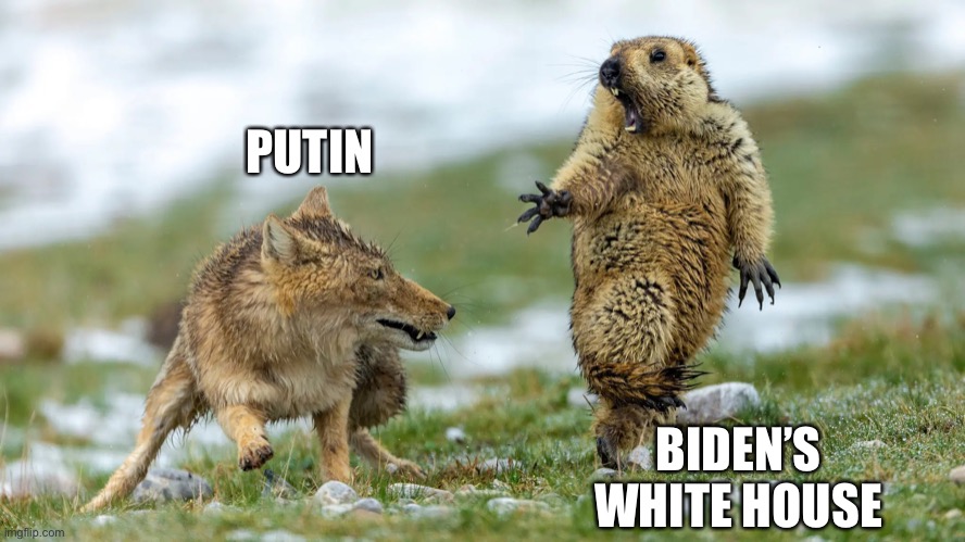 Putin vs Biden’s White House | PUTIN; BIDEN’S
WHITE HOUSE | image tagged in tibetan fox and marmot | made w/ Imgflip meme maker