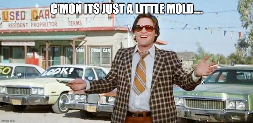 used car salesman | C'MON ITS JUST A LITTLE MOLD.... | image tagged in used car salesman | made w/ Imgflip meme maker