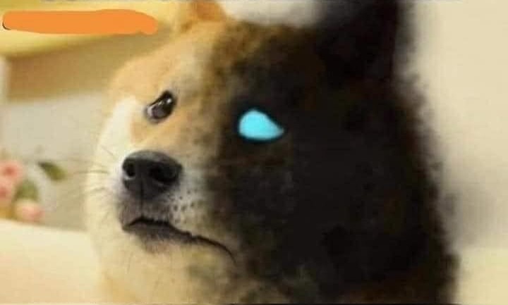 High Quality Doge Corruption Blank Meme Template