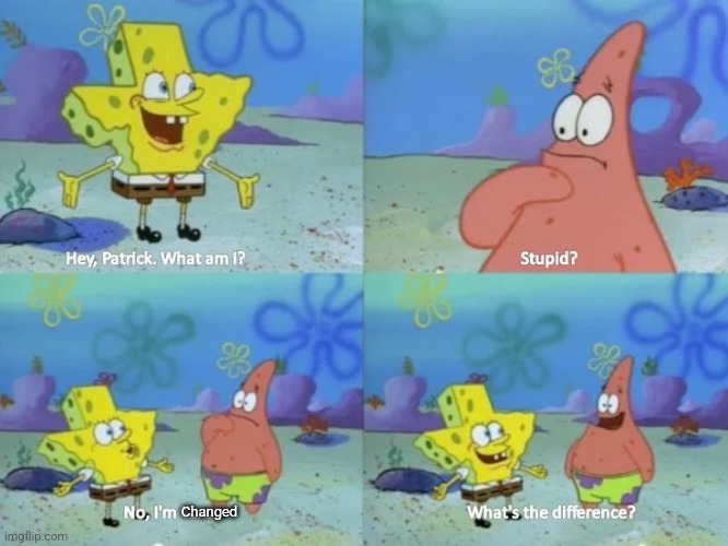 hey, Patrick. What am I? | Changed | image tagged in hey patrick what am i | made w/ Imgflip meme maker