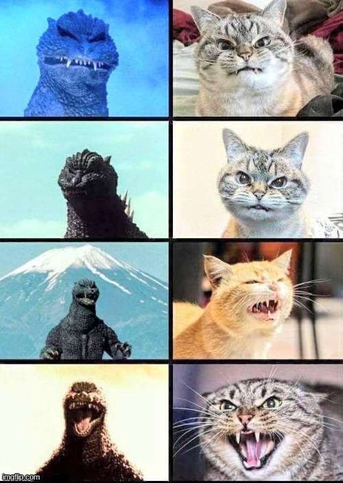 Run! It's Pawzilla! | image tagged in godzilla,cats,funny cat memes,funny cats,godzilla memes,stop reading the tags | made w/ Imgflip meme maker