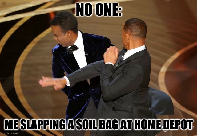 No One:   Me in home depot slapping a bag of soil | NO ONE:; ME SLAPPING A SOIL BAG AT HOME DEPOT | image tagged in will smith punching chris rock | made w/ Imgflip meme maker