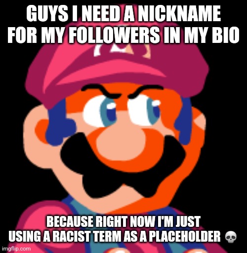 Mario Ugh | GUYS I NEED A NICKNAME FOR MY FOLLOWERS IN MY BIO; BECAUSE RIGHT NOW I'M JUST USING A RACIST TERM AS A PLACEHOLDER 💀 | image tagged in mario ugh | made w/ Imgflip meme maker