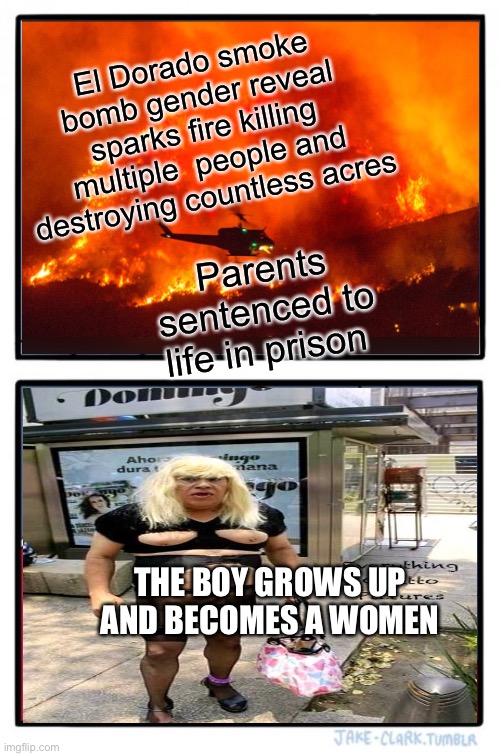 Two Buttons Meme | El Dorado smoke bomb gender reveal sparks fire killing multiple  people and destroying countless acres Parents sentenced to life in prison T | image tagged in memes,two buttons | made w/ Imgflip meme maker