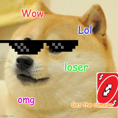 Doge Meme | Wow; Lol; loser; omg; Get the camera | image tagged in memes,doge | made w/ Imgflip meme maker