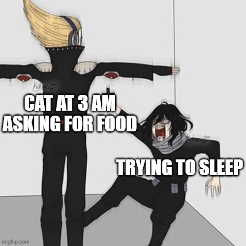 My cat at 3 am be like: | CAT AT 3 AM ASKING FOR FOOD; TRYING TO SLEEP | image tagged in aizawa has jesus,cats,why mittens,lol,funny,barney will eat all of your delectable biscuits | made w/ Imgflip meme maker