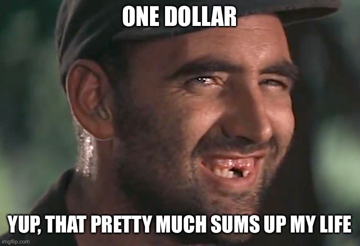 hick | ONE DOLLAR YUP, THAT PRETTY MUCH SUMS UP MY LIFE | image tagged in hick | made w/ Imgflip meme maker