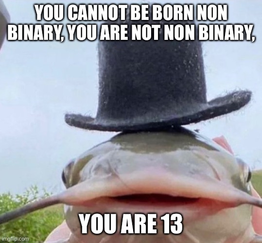 You are either male or female. You cannot be neither nor in between. | YOU CANNOT BE BORN NON BINARY, YOU ARE NOT NON BINARY, YOU ARE 13 | image tagged in fib | made w/ Imgflip meme maker