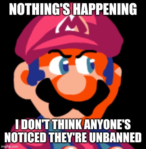 Mario Ugh | NOTHING'S HAPPENING; I DON'T THINK ANYONE'S NOTICED THEY'RE UNBANNED | image tagged in mario ugh | made w/ Imgflip meme maker