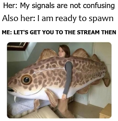 Also her: I am ready to spawn; Her: My signals are not confusing; ME: LET'S GET YOU TO THE STREAM THEN | image tagged in spawn | made w/ Imgflip meme maker