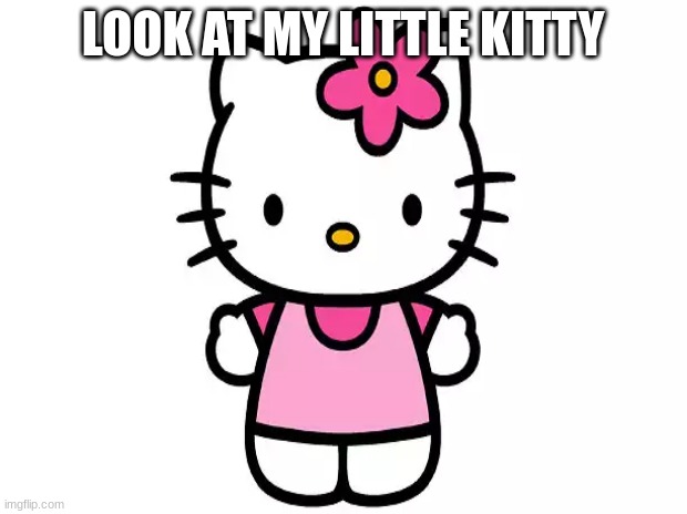 kitty | LOOK AT MY LITTLE KITTY | image tagged in kitty | made w/ Imgflip meme maker