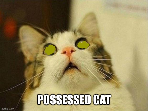 Evil catto and also since you can’t ban on April Fools *danny* | POSSESSED CAT | image tagged in memes,scared cat | made w/ Imgflip meme maker