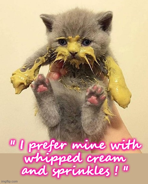 Kitty toppings ? | " I prefer mine with
whipped cream
and sprinkles ! " | image tagged in sprinkles | made w/ Imgflip meme maker