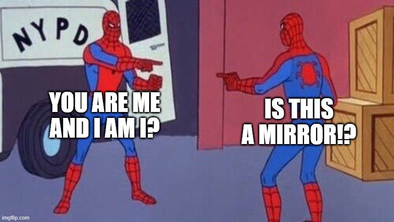 When you have a twin and you did not know! | YOU ARE ME AND I AM I? IS THIS A MIRROR!? | image tagged in spiderman pointing at spiderman | made w/ Imgflip meme maker