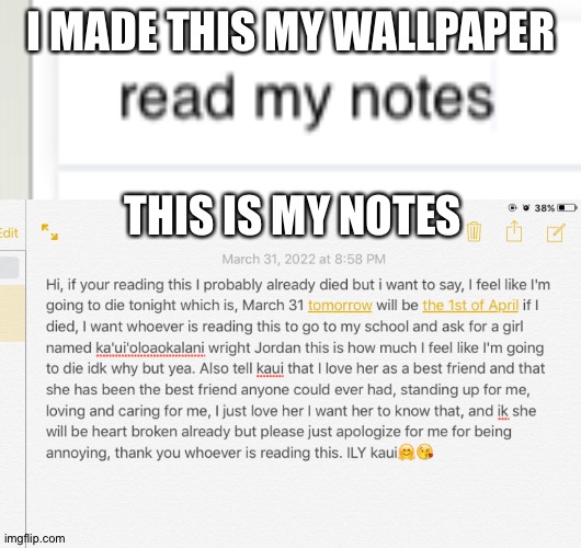 Life or no, I'm not sure yet if I live I'll update if not, have a good life | I MADE THIS MY WALLPAPER; THIS IS MY NOTES | made w/ Imgflip meme maker