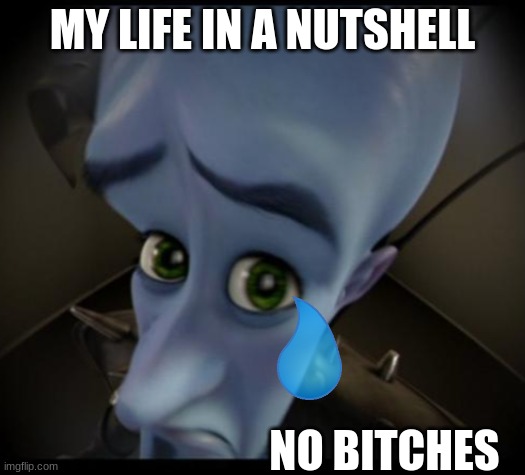 Megamind peeking | MY LIFE IN A NUTSHELL; NO BITCHES | image tagged in no bitches | made w/ Imgflip meme maker