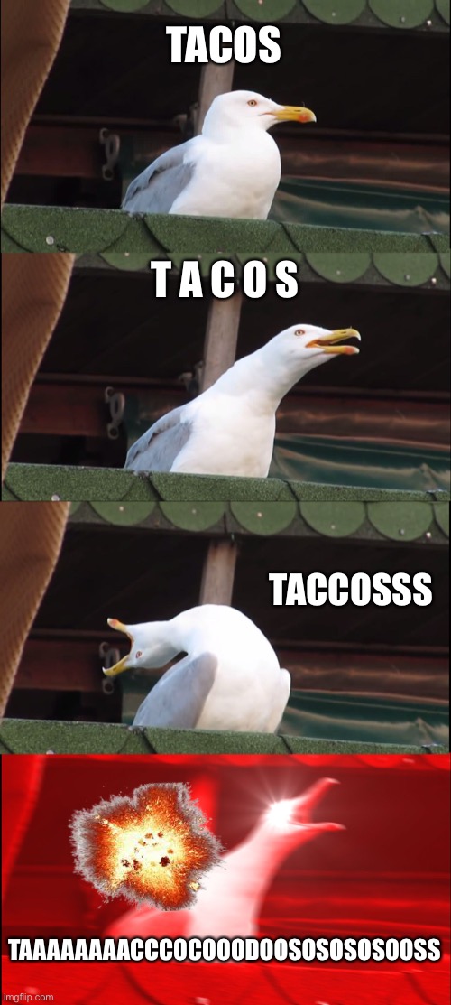 Tacos. | TACOS; T A C O S; TACCOSSS; TAAAAAAAACCCOCOOODOOSOSOSOSOOSS | image tagged in memes,inhaling seagull | made w/ Imgflip meme maker