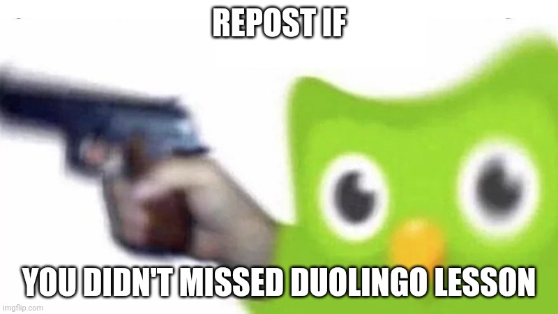duolingo gun | REPOST IF; YOU DIDN'T MISSED DUOLINGO LESSON | image tagged in duolingo gun | made w/ Imgflip meme maker