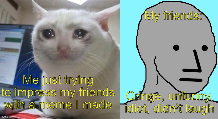My friends:; Me just trying to impress my friends with a meme I made; Cringe, unfunny, idiot, didn’t laugh | image tagged in crying cat,memes,npc | made w/ Imgflip meme maker