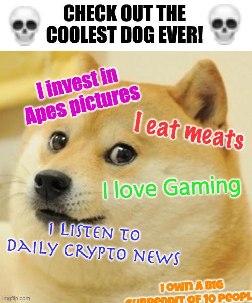 Does anybody get this? | CHECK OUT THE COOLEST DOG EVER! I invest in Apes pictures; I eat meats; I love Gaming; I listen to daily Crypto news; I own a big subreddit of 10 people | image tagged in memes,doge | made w/ Imgflip meme maker