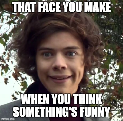 Making another face | THAT FACE YOU MAKE; WHEN YOU THINK SOMETHING'S FUNNY | image tagged in harry funny face | made w/ Imgflip meme maker