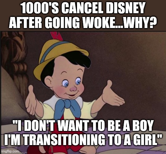 pinnochio | 1000'S CANCEL DISNEY AFTER GOING WOKE...WHY? "I DON'T WANT TO BE A BOY I'M TRANSITIONING TO A GIRL" | image tagged in pinnochio | made w/ Imgflip meme maker