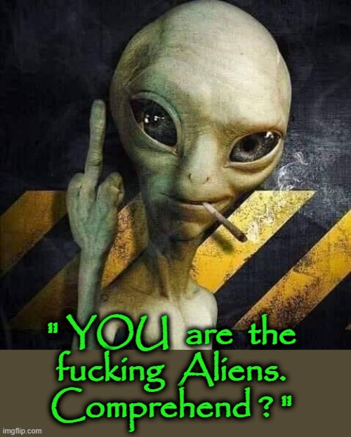 We are Aliens ! | " YOU  are  the
fucking  Aliens.
Comprehend ? " | image tagged in human race | made w/ Imgflip meme maker