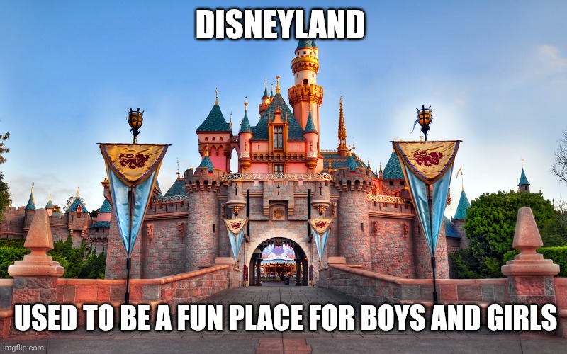 Disneyland | DISNEYLAND; USED TO BE A FUN PLACE FOR BOYS AND GIRLS | image tagged in disneyland | made w/ Imgflip meme maker