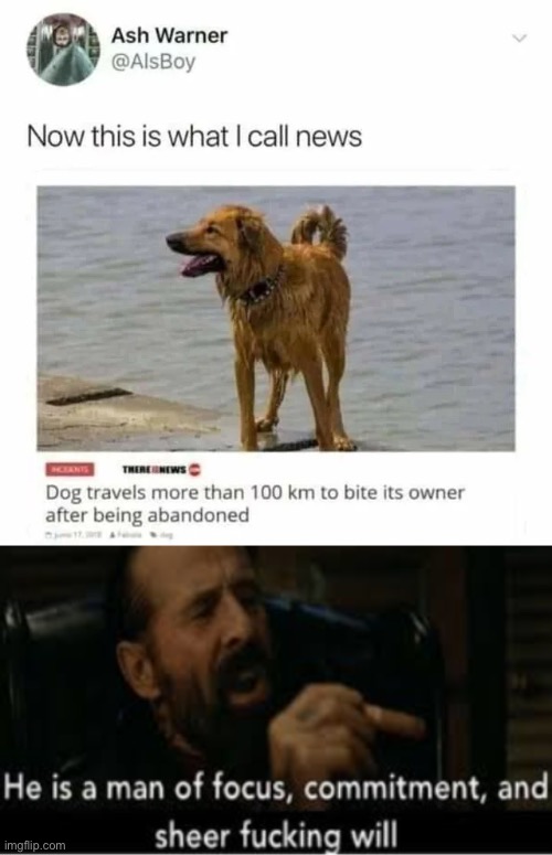 Frr | image tagged in he is a man of focus,dogs | made w/ Imgflip meme maker