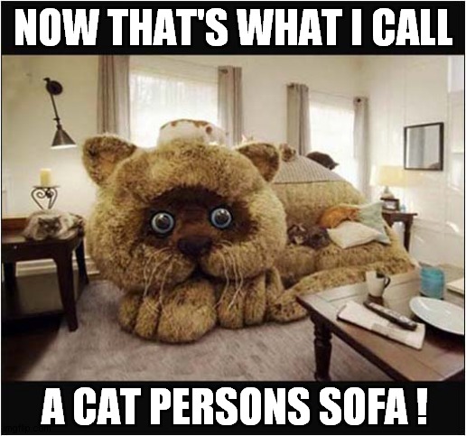 It's Certainly A Statement ! | NOW THAT'S WHAT I CALL; A CAT PERSONS SOFA ! | image tagged in cats,sofa | made w/ Imgflip meme maker