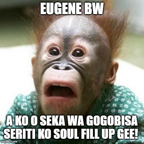 Shocked Monkey | EUGENE BW; A KO O SEKA WA GOGOBISA SERITI KO SOUL FILL UP GEE! | image tagged in shocked monkey | made w/ Imgflip meme maker