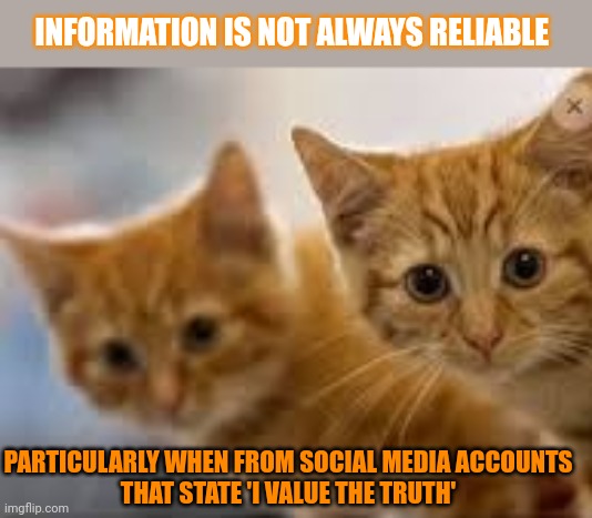 This #lolcat wonders why people trust people who say they can be trusted | INFORMATION IS NOT ALWAYS RELIABLE; PARTICULARLY WHEN FROM SOCIAL MEDIA ACCOUNTS
THAT STATE 'I VALUE THE TRUTH' | image tagged in lolcat,gullible,trust,trust me,think about it | made w/ Imgflip meme maker