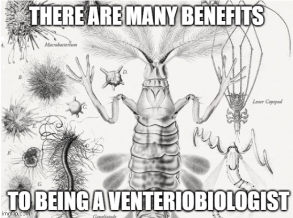 there are many benefits | image tagged in mystery flesh pit status | made w/ Imgflip meme maker