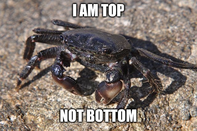 Top | image tagged in crab rave,crab,crabs,silence crab,successful black man | made w/ Imgflip meme maker